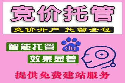 案例分析：百度SEM如何助力企业增长